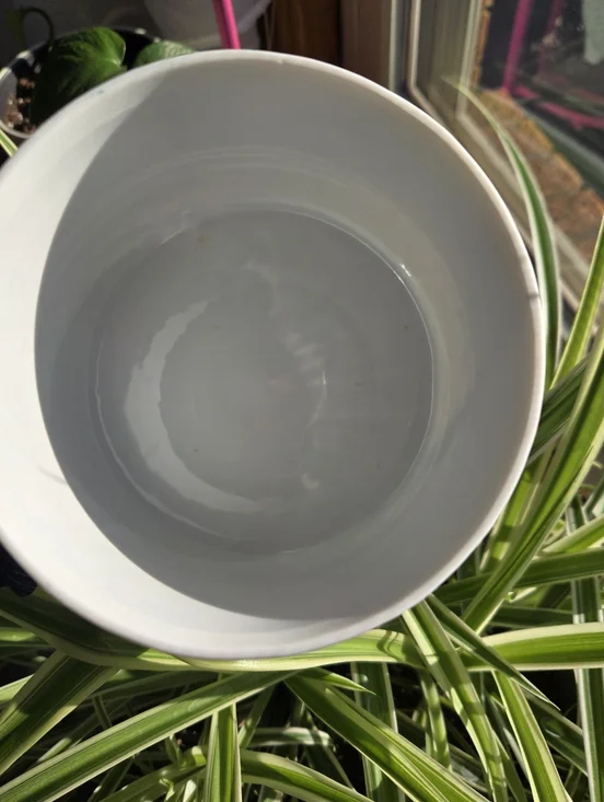 ​🎀 Vintage 1987 FTD Pastel Blue Bow Porcelain Canister 🎀 Coquette Preppy - Picture 8 of 11